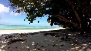 Trip to the Beach, Majuro Atoll, Marshall Islands, Berger