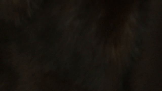 Шуба норковая трансформер 42 смотреть онлайн