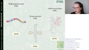 Старт Летнего курса ОГЭ-2024 по биологии | Химический состав и строение клетки