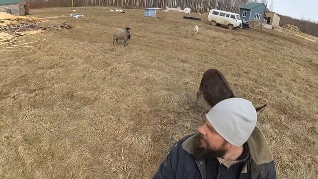 ОТ РАССВЕТА ДО ЗАКАТА / ПОЖАР / ХУТОР ЗАГАЙКИ смотреть онлайн