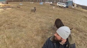 ОТ РАССВЕТА ДО ЗАКАТА / ПОЖАР / ХУТОР ЗАГАЙКИ