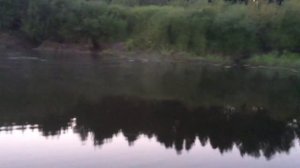 Река Парша ч.1