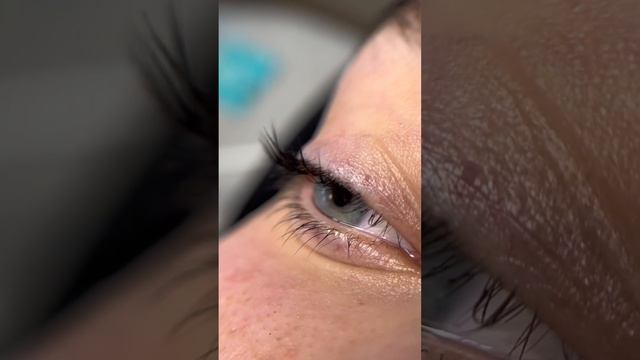 Ламинирование или наращивание ресниц? Выбирать тебе? #ламинированиересниц смотреть онлайн