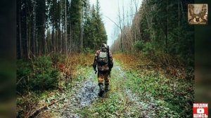 Зачехленное ружьё в лесу вне сроков охоты.