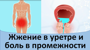 Жжение в уретре и боль в промежности.