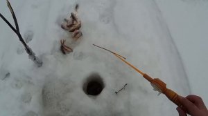 На рыбалку на мотобуксировщике