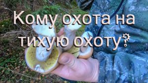 Кто с нами на тихую охоту?