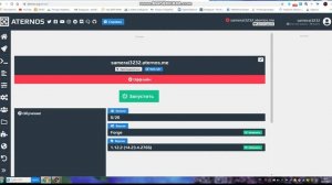 КАК ИГРАТЬ С ДРУГОМ? ИЛИ СОЗДАТЬ СЕРВЕР? В МАЙНКРАФТЕ ЧЕРЕЗ TLaucher (aternos)
