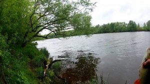 Ловим голавля на Москва реке