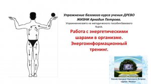 Работа с энерго шарами в организме. Энергоинфор-ный тренинг Из базового курса Древо Жизни 12.02.2023