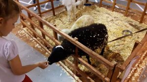 Супер выставка животных, Звероград! Советуем посетить!