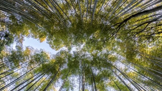 Music Relaxing Piano Calmness For Deep Sleeping | Gymnopedie No.1 смотреть онлайн