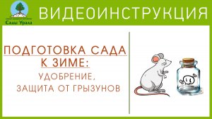 Подготовка сада к зиме: удобрение, защита от грызунов