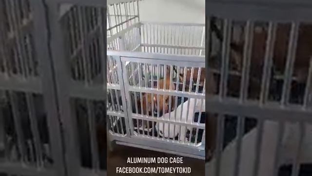 ALUMINUM DOG CAGE