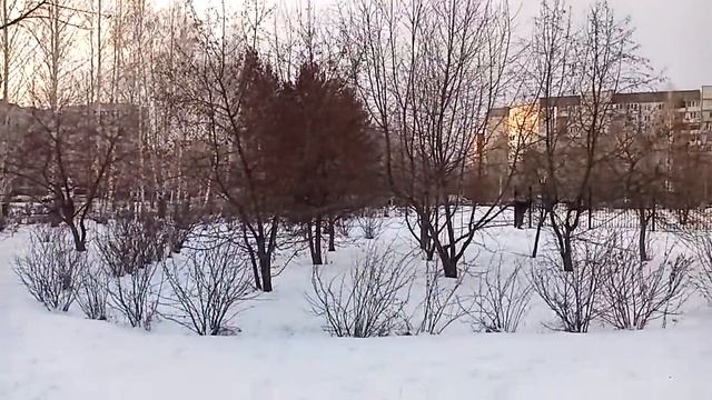 Сказки с honor 8 a пробная быль! смотреть онлайн