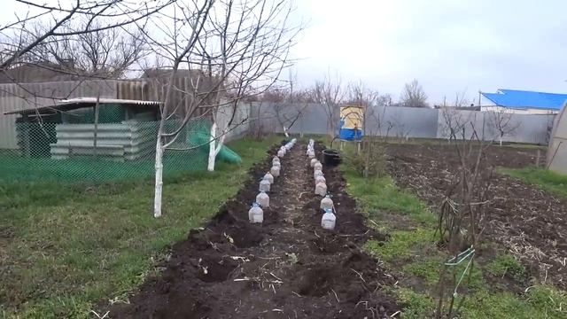 С ПОЛАМИ ТЕПЕРЬ  ГОРАЗДО ЛЕГЧЕ Easy Clean Швабра с отжимом и ведром NOVA-C КАПУСТА?ПЕРВЫЙ ЦЫПЛЕНОК?