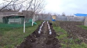 С ПОЛАМИ ТЕПЕРЬ ГОРАЗДО ЛЕГЧЕ Easy Clean Швабра с отжимом и ведром NOVA-C КАПУСТА?ПЕРВЫЙ ЦЫПЛЕНОК?