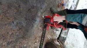 Бензопила Урал в работе.