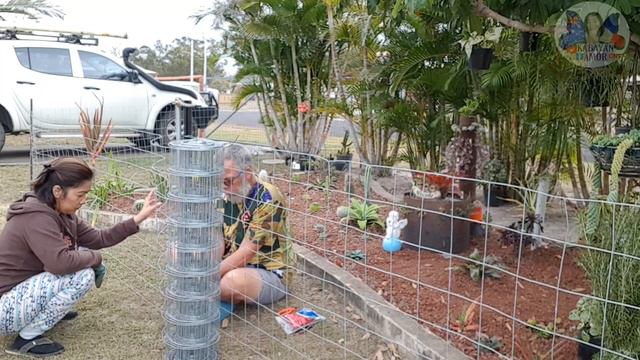 BINAKURAN KO NA | LAGI NALANG NAPUTOL ANG CACTUS | by: KABAYAN AMOR смотреть онлайн