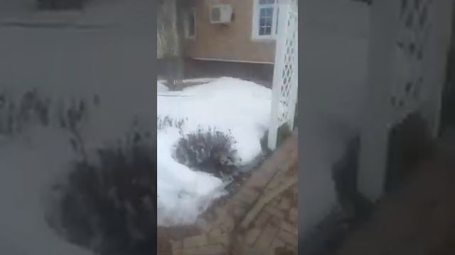 Ремонт скважин. Компания Водсервис-Уфа смотреть онлайн