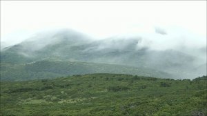 Сегодня последний день экспедиции Русского географического общества и Минобороны на Итурупе