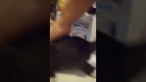 мой кот попал в клей для мышей