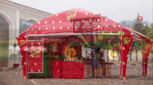 Грудинин - 150 лет Ленину