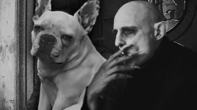 Vampires The Masquarade: Bloodlines с Гладием. Стрим номер 6: Кто подрезал сракофаг? смотреть онлайн