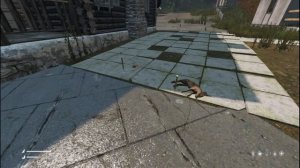 DayZ ловля зайца, на силок с фруктами.