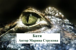 Батя. Автор Марина Струкова. Читает Александр Водяной.