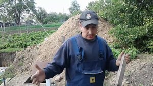 Куриный навоз подкормка для малины