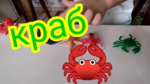 Адам и МОРСКИЕ  Обитатели, Водяные ИГРУШКИ