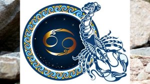 Год Обезьяны – описание и характеристика знака