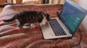 Паша-7недель