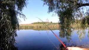 ПРОВОДКА НА СОСТАВНИК, ОБЗОР СПИННИНГА ШИМАНО КАТАНА