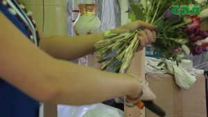 Мастер-классы журнала "Мой прекрасный сад" на Moscow Flower Show