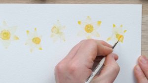 How To Paint Translucent Watercolour Daffodils