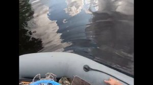 Кастинговая сеть Американского типа. Как забрасывать с лодки. В поисках ТРОФЕЯ на Севере