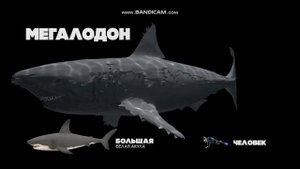 Кто живет на дне марианской впадене ? ЭТО НАШ МИР 2 сери