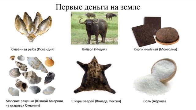 Окружающий мир 2 класс ч.1, тема урока "Что такое экономика", с.104-107, Школа России. смотреть онлайн