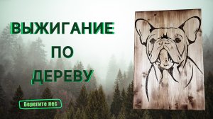 Выжигание по дереву .