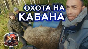 Неожиданный трофей: охота на медведя превратилась в охоту на кабана