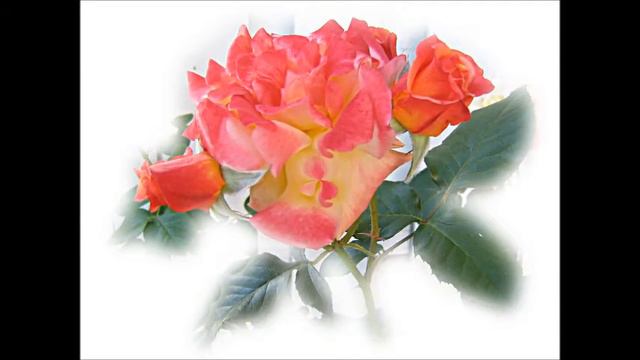 Поздравление с 8 марта от АстроСофт!!! смотреть онлайн