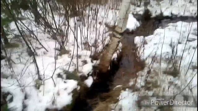 Синявинские карьеры, Хорошый карась на вершу смотреть онлайн