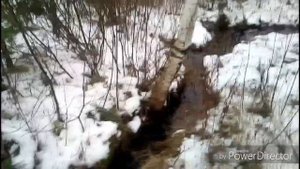 Синявинские карьеры, Хорошый карась на вершу