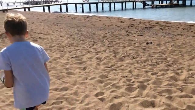 Barut Lara hotel место кладки яиц черепах на пляже - отдых в Турции