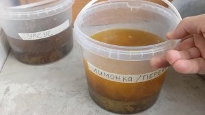 Найден эффективный способ удаления ржавчины с металла