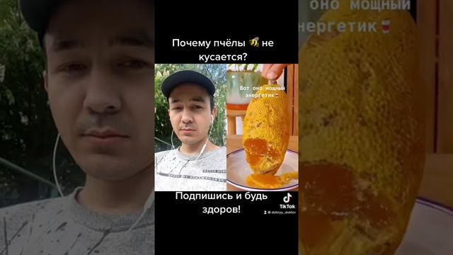 Почему пчёлы не кусается?