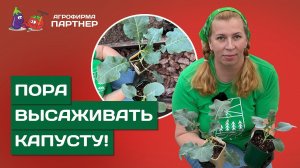 ВАЖНЫЕ ПРАВИЛА ДЛЯ БОГАТОГО УРОЖАЯ КАПУСТЫ