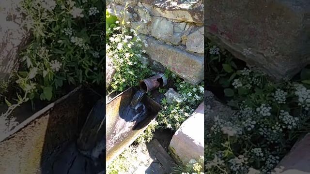 Снять кровную порчу с человека. смотреть онлайн